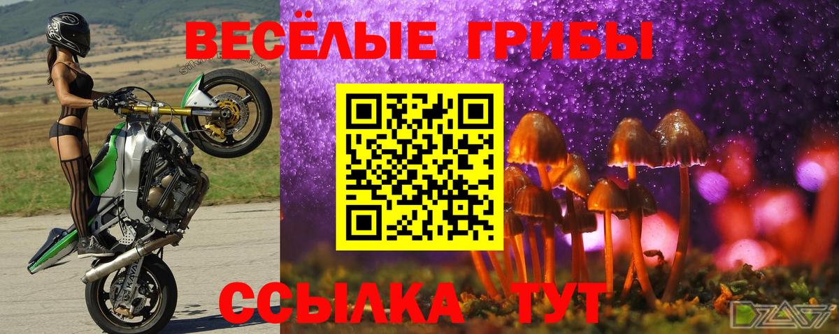 Галлюциногенные грибы Cubensis  Вход с VPN  даркнет сайт  Дзержинский 