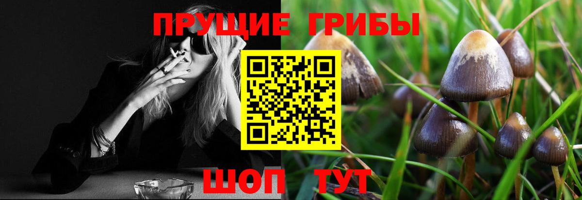 Псилоцибиновые грибы GOLDEN TEACHER Дзержинский